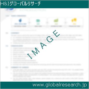 グローバルリサーチ調査レポートのイメージ